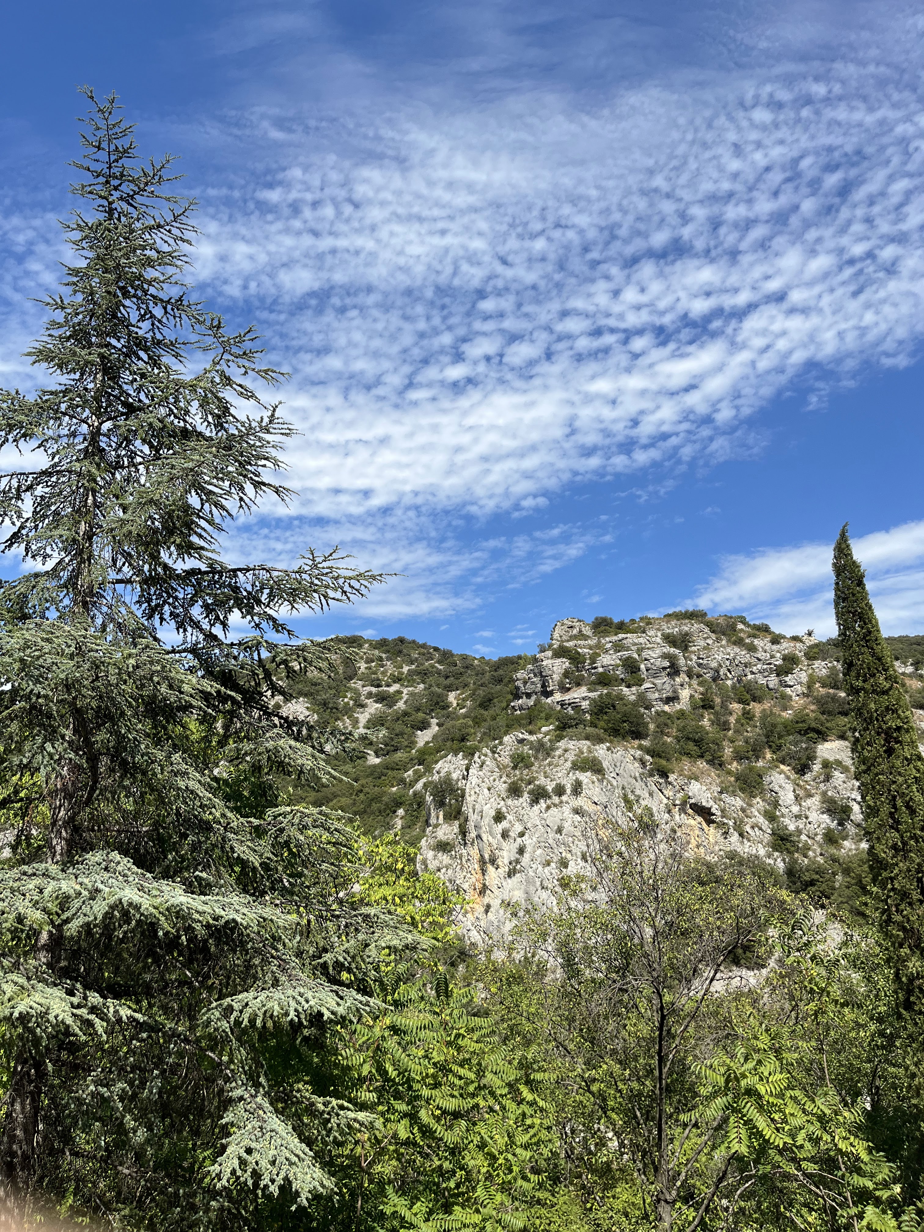 Photo n° 15 de l'avis de Nadège.a fait le 29/08/2023 à 11:04