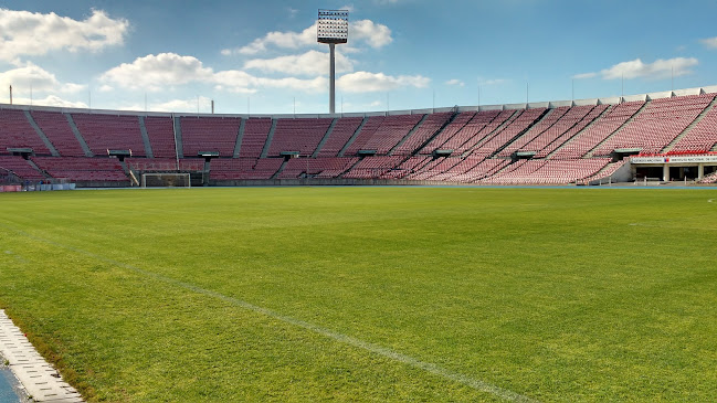 Comentarios y opiniones de Estadio Nacional Julio Martínez Prádanos