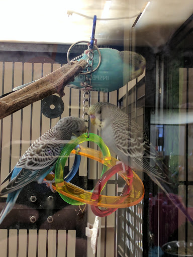 Pet Supply Store «PetSmart», reviews and photos, 19075 Interstate 45 S, Shenandoah, TX 77385, USA