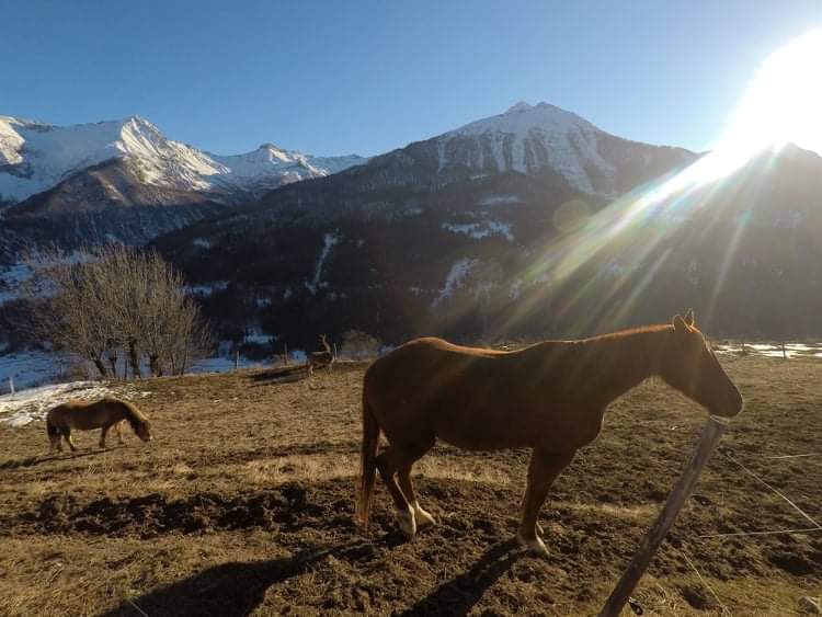 Photo n° 19 de l'avis de Florence.a fait le 18/01/2022 à 17:14