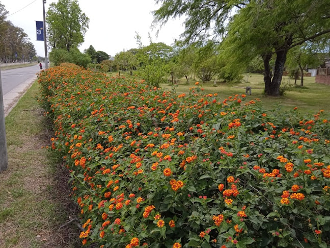 Arboretum Ricardo Carrere