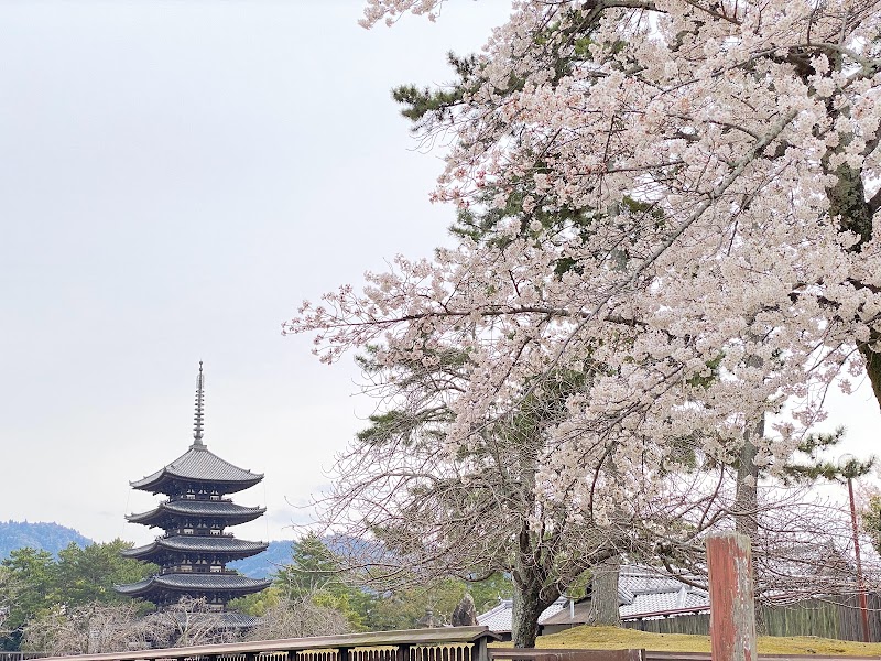 北円堂 中門・回廊跡