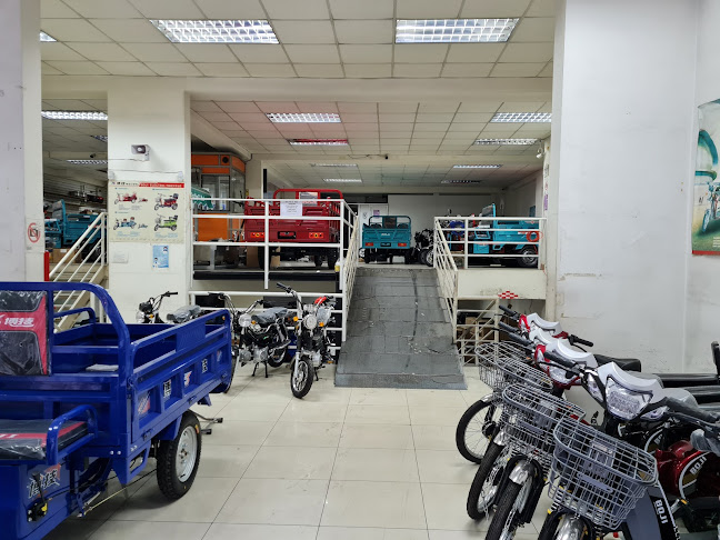 Opiniones de Boji(dingying) en Las Condes - Tienda de bicicletas