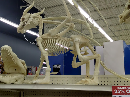 Discount Store «Big Lots», reviews and photos, 2821 Montgomery Hwy, Dothan, AL 36303, USA