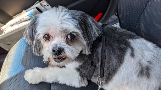 Pet Store «Back To Nature Pets & Grooming», reviews and photos, 110 N Dupont Hwy, New Castle, DE 19720, USA