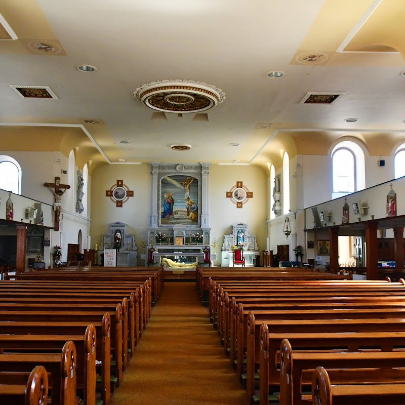 St Finbarr’s Roman Catholic Church, Cork South