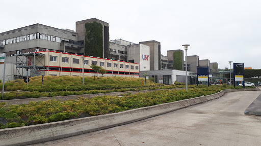 Hôpital universitaire d'Antwerp