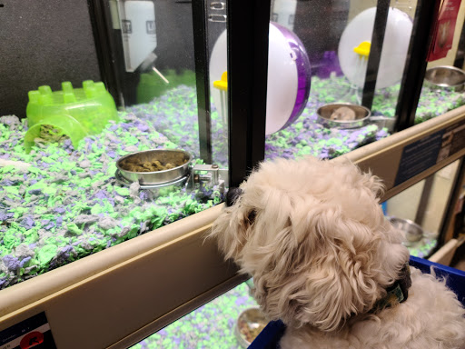 Pet Supply Store «PetSmart», reviews and photos, 4004 US-130, Delran, NJ 08075, USA