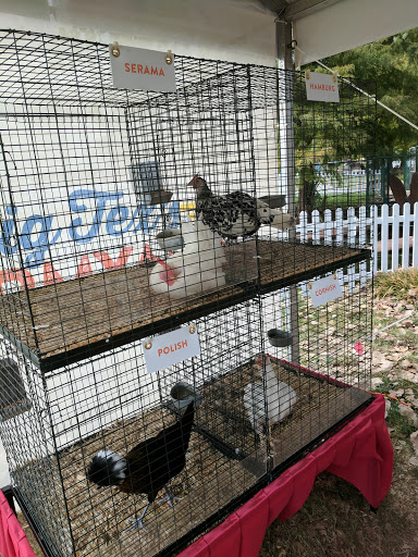 Tourist Attraction «Leonhardt Lagoon Nature Walk», reviews and photos, 1121 1st Ave, Dallas, TX 75210, USA