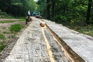 Dünnbach-Pfad mit "Kugelbahn" Traumschleife image