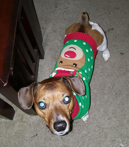 Used Car Dealer «Mancini Motors», reviews and photos, 2440 W Main St, Norristown, PA 19403, USA