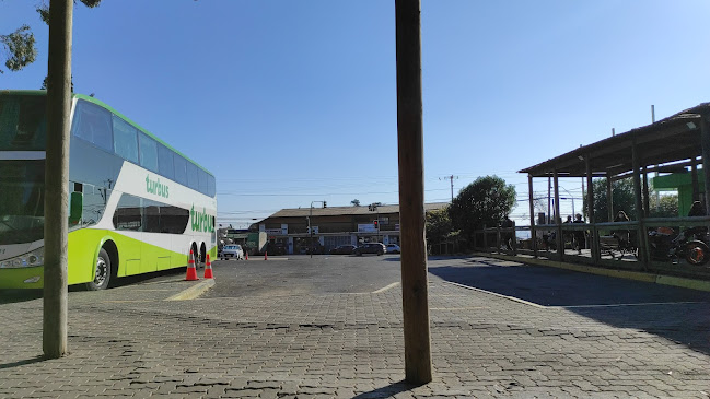 Opiniones de Terminal De Buses Turbus en El Quisco - Servicio de transporte