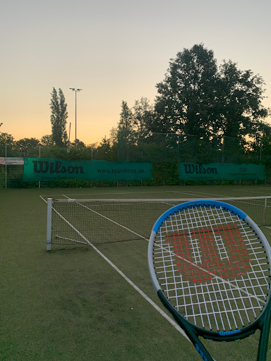 Tennisclub Degerloch-Hohe Eiche e.V.