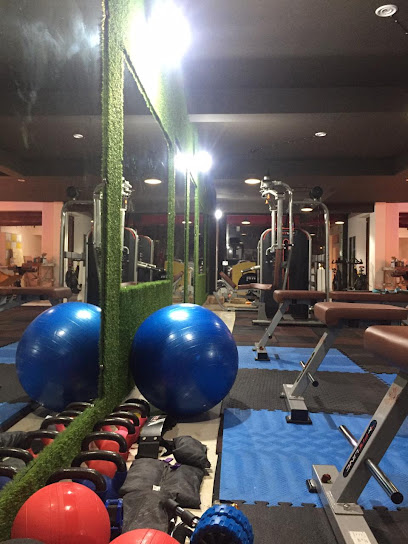 Fitness One Pro - best gym in patna - Fitness One Pro, Above Kala Saree, near pillar no 15, Bailey road, Maurya Path, Patna, Bihar 800014, India