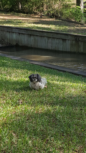 Golf Club «Walden on Lake Houston», reviews and photos, 18100 Walden Forest Dr, Humble, TX 77346, USA