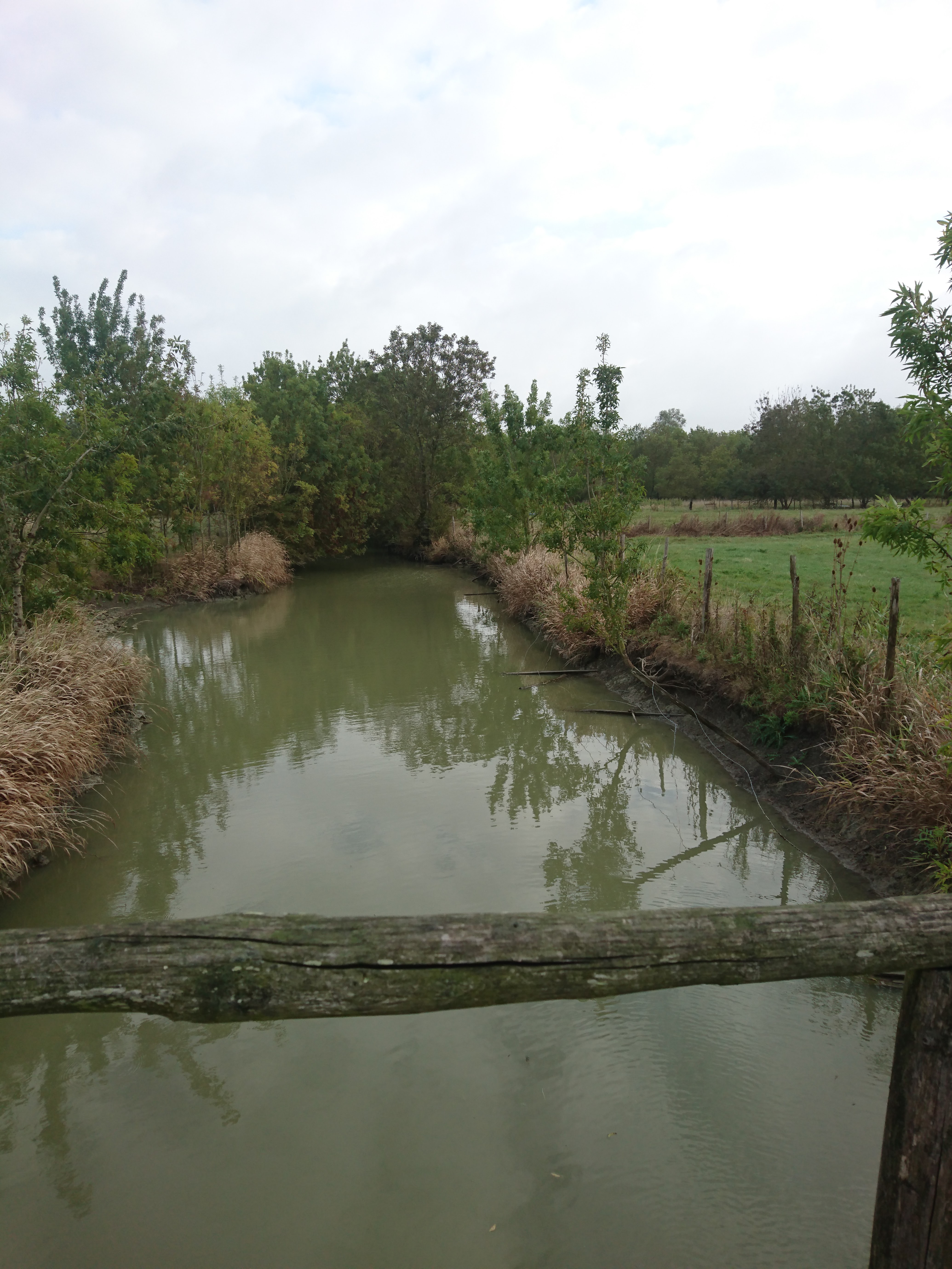 Photo n° 6 de l'avis de Saint.o fait le 26/09/2019 à 10:57