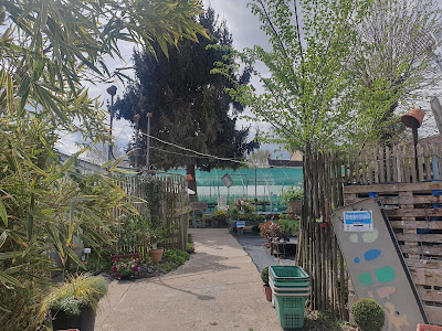 SIMIER SCEA ou PLANTES PAS BANALES à Faverolles-sur-Cher