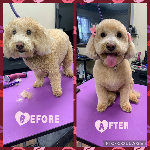 Pet Groomer «U Dirty Dog», reviews and photos, 232 Stevens Entry, Peachtree City, GA 30269, USA