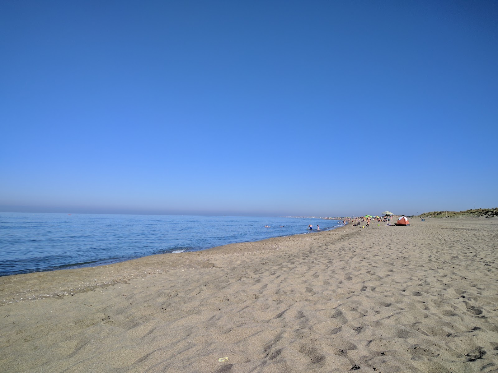 Foto di Castel Porziano beach con una superficie del sabbia scura