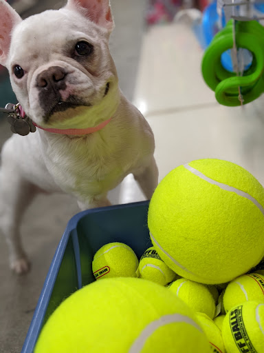 Pet Supply Store «Mini Pet Mart», reviews and photos, 1450 NE Hwy 101, Lincoln City, OR 97367, USA