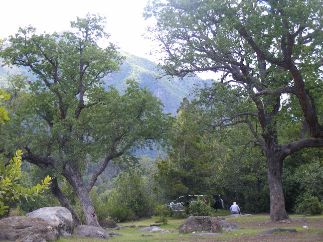 Opiniones de Portón Monte Oscuro en Linares - Camping
