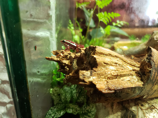 Market «The Rust Belt Market», reviews and photos, 22801 Woodward Ave, Ferndale, MI 48220, USA