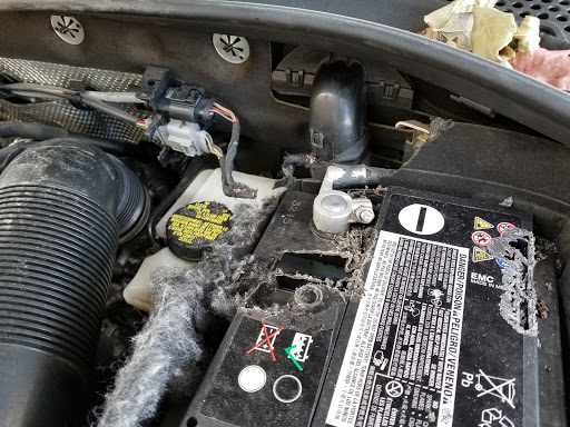 Auto Parts Store «AutoZone», reviews and photos, 2935 McDermott Rd, Plano, TX 75025, USA