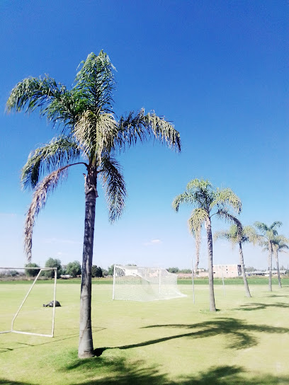Campo Los Agaves