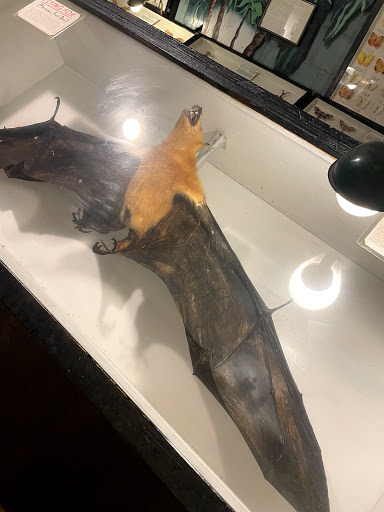 Museum «May Natural History Museum», reviews and photos, 710 Rock Creek Canyon Rd, Colorado Springs, CO 80926, USA