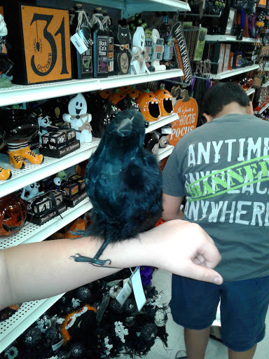 Craft Store «Michaels», reviews and photos, 19653 US-59, Humble, TX 77338, USA