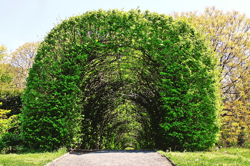 Cultural Center «Noble Maritime Collections», reviews and photos, 1000 Richmond Terrace # 8, Staten Island, NY 10301, USA