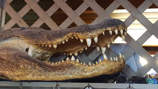 Tourist Attraction «Twister Airboat Rides», reviews and photos, 8199 W King St, Cocoa, FL 32926, USA