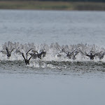 Photo n°3 de l'avis de Schmaze08. fait le 18/10/2023 à 20:07 sur le  Seehotel Schorfheide am Grimnitzsee à Althüttendorf