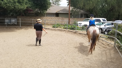 Total equestrian experience