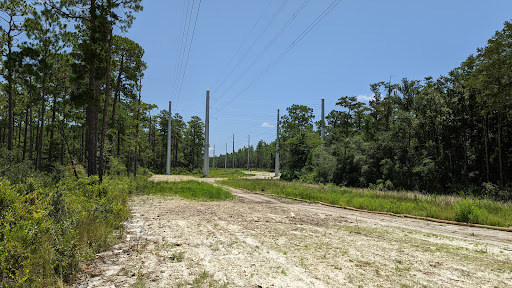 National Forest «Apalachicola National Forest», reviews and photos, Stateroad 13, Sopchoppy, FL 32358, USA