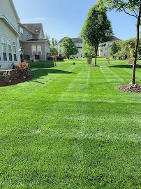 Superior Landscaping and Tree Services - Photo 2 - Car repair in Lanham, MD, Washington