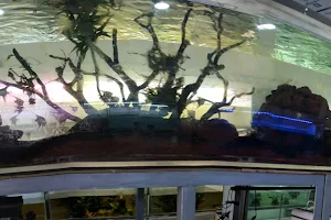 Indian Ocean Aquarium image