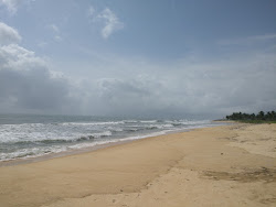 Panambur Beach'in fotoğrafı ve yerleşim