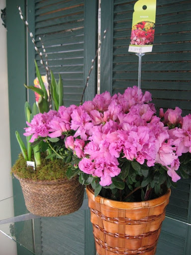 Florist «Best Wishes Floral», reviews and photos, 689 Winnetka Ave N, Golden Valley, MN 55427, USA