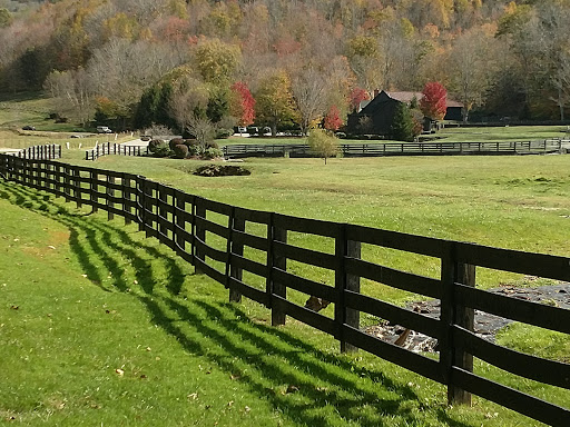 National Forest «Pisgah National Forest», reviews and photos, 1600 Pisgah Highway, Nebo, NC 28761, USA