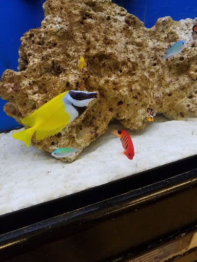 Pet Supply Store «Petco Animal Supplies», reviews and photos, 13691 Ridgedale Dr, Minnetonka, MN 55305, USA