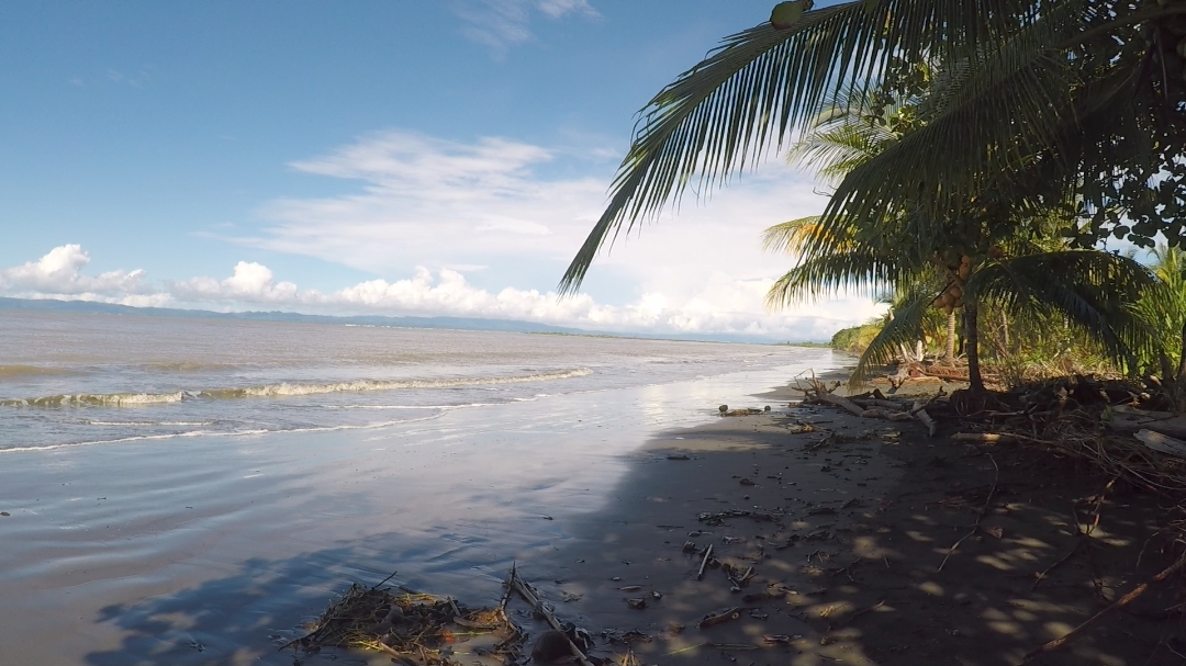 Foto de Playa Azul com água turquesa superfície