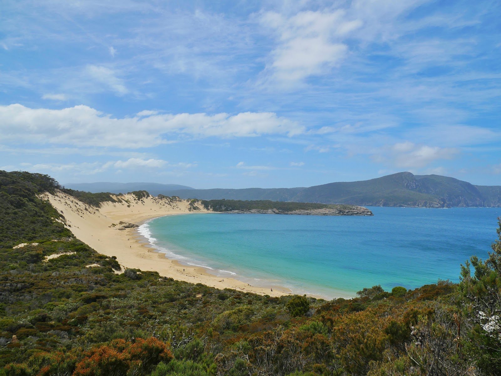 Zdjęcie Cape Pillar Beach dziki obszar