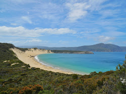 Φωτογραφία του Cape Pillar Beach άγρια περιοχή