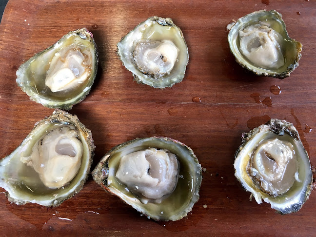 Comments and reviews of Fowler's Wild Bluff Oysters