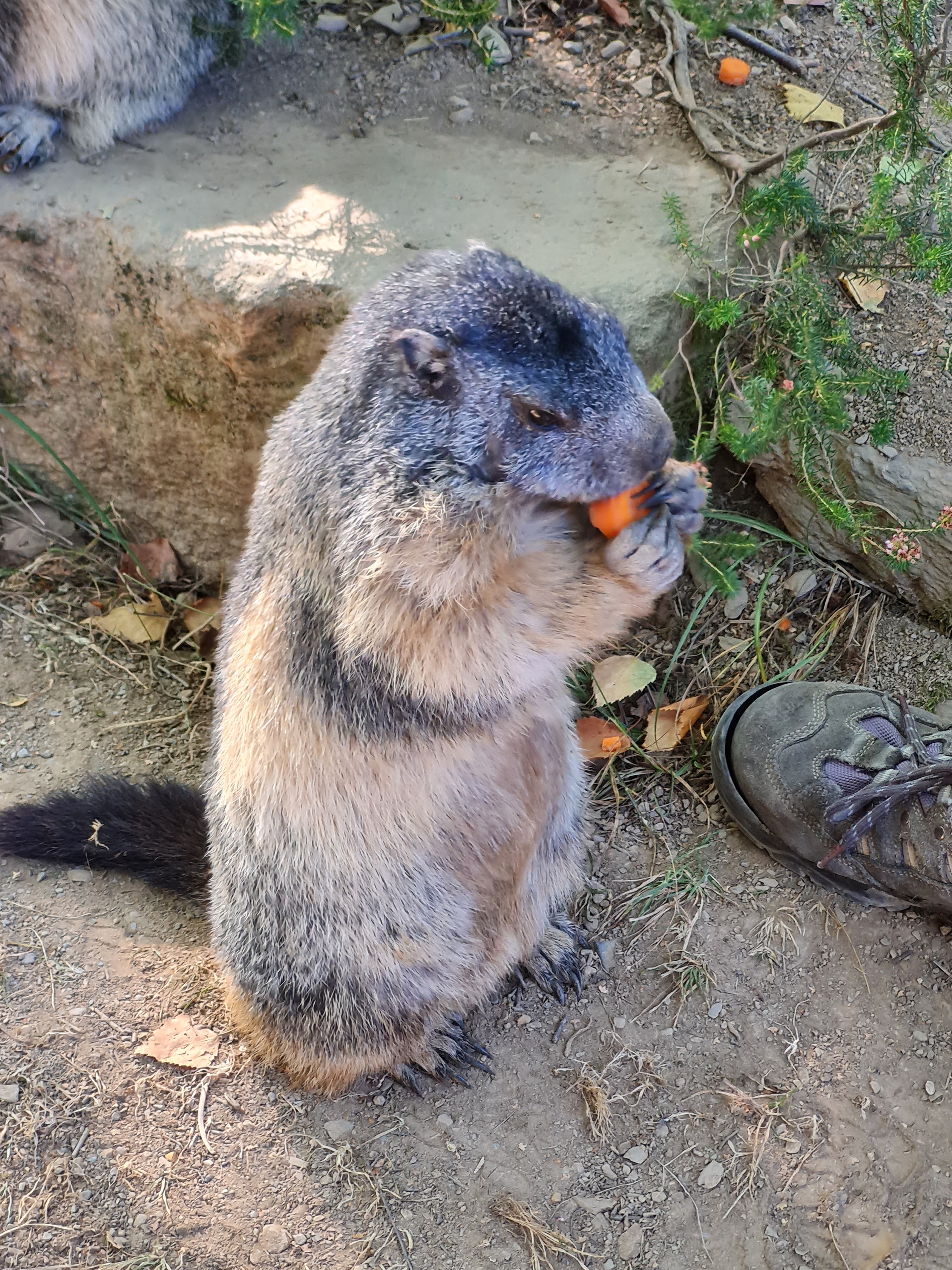 Photo n° 22 de l'avis de Marjo.e fait le 29/08/2021 à 18:20