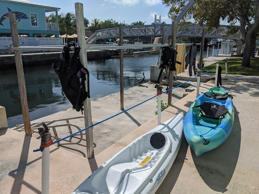 Recreation «Dolphins Plus Oceanside», reviews and photos, 31 Corinne Pl, Key Largo, FL 33037, USA