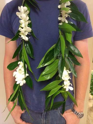 Florist «Sunshine Designs Florist, LLC», reviews and photos, 1813 Creighton Rd, Pensacola, FL 32504, USA