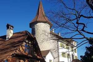 Schauensee Castle image
