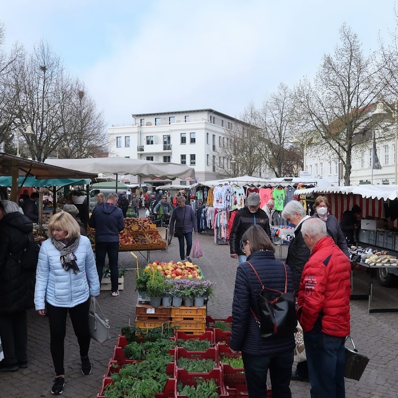 Markt Bad Doberan